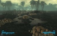 Fallout 3: Point Lookout screenshot, image №529718 - RAWG