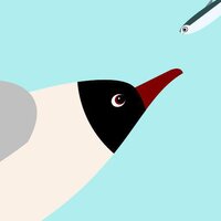 Glidy Gull screenshot, image №3688638 - RAWG