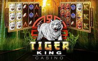 Slots Tiger King Casino Slots screenshot, image №1408143 - RAWG