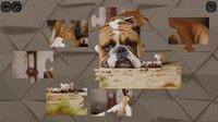 Puzzles for smart: Dogs screenshot, image №840133 - RAWG