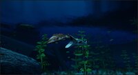 Tooth N' Fin screenshot, image №4268432 - RAWG