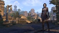 The Elder Scrolls Online: Collection - Prepurchase screenshot, image №778603 - RAWG