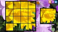 OG Puzzlers: Spring 2K24 screenshot, image №4040244 - RAWG