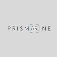 PRISMARINE screenshot, image №3387508 - RAWG