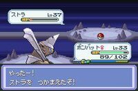 Pokémon Procyon/Deneb screenshot, image №3230968 - RAWG