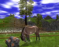 Wildlife Park 2 - Horses screenshot, image №151714 - RAWG