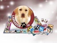 Labrador io (opoly) screenshot, image №943768 - RAWG