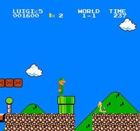 Luigi and the Quest for Nothing DX screenshot, image №2212472 - RAWG