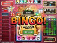 Glamour Puss Bingo FREE screenshot, image №1395478 - RAWG
