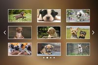 Puppies Jigsaw Puzzles Free Pet Games for Kids screenshot, image №1492925 - RAWG