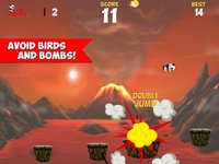 Jumpy Panda - Earth Day Special screenshot, image №1693345 - RAWG