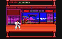 Budokan: The Martial Spirit (1991) screenshot, image №747724 - RAWG