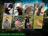 Hunting Game 2021 Wild Animal screenshot, image №3100015 - RAWG