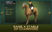 Jumping Horses Champions 2Free screenshot, image №1432041 - RAWG