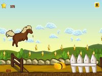 A Baby Horse Run - Jumping Horses Race Games screenshot, image №1983932 - RAWG