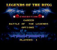 Boxing Legends of the Ring screenshot, image №758590 - RAWG