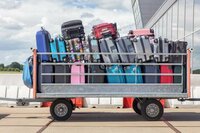 luggage carrier screenshot, image №2565226 - RAWG