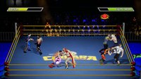 CHIKARA: Action Arcade Wrestling screenshot, image №2130540 - RAWG