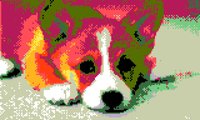 CORGI SUMMER SCHOOL: SUPREME COURT EDITION screenshot, image №1049277 - RAWG