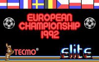 European Championship 1992 (Old) screenshot, image №748292 - RAWG