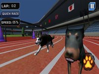 Extreme Crazy Dog Race 3D 2018 screenshot, image №1677901 - RAWG