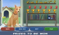 Clickety Dog: Pet School screenshot, image №689846 - RAWG