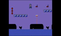 Super Mario Bros. 2 screenshot, image №261939 - RAWG