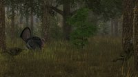 Wild Turkey Hunter screenshot, image №719347 - RAWG