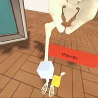 Osteology screenshot, image №3613005 - RAWG