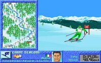 Summer & Winter: Olympic Challenge screenshot, image №2531510 - RAWG