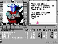 The Bard's Tale II: The Destiny Knight screenshot, image №321504 - RAWG