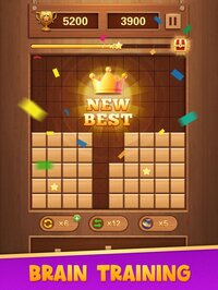 Block Puzzle Wood Blast screenshot, image №3292184 - RAWG