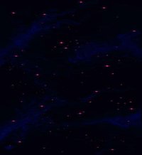 Invaders (Dskywalker744) screenshot, image №1311508 - RAWG
