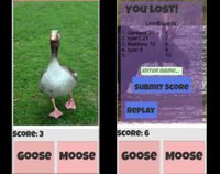 Goose Or Moose screenshot, image №1311216 - RAWG