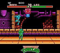 Teenage Mutant Ninja Turtles: Tournament Fighters screenshot, image №1697649 - RAWG