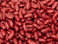 Bean Simulator (OheeXD) screenshot, image №3061591 - RAWG