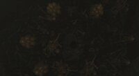 BURNT ASHES screenshot, image №2796380 - RAWG