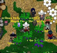 Graal Online - Graal Kingdoms screenshot, image №2711825 - RAWG