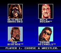 WWF Super WrestleMania screenshot, image №761004 - RAWG