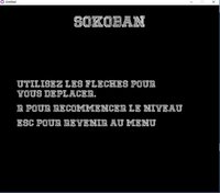 Sokoban (Christever) screenshot, image №1257781 - RAWG