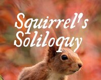 Squirrel's Soliloquy screenshot, image №3269809 - RAWG