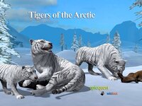 Tigers of the Arctic screenshot, image №2715013 - RAWG