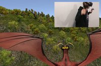 Wings of the Dragon screenshot, image №1246977 - RAWG