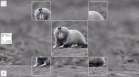 Puzzle Art: Rodents screenshot, image №3077259 - RAWG
