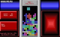 Tiny Tetris screenshot, image №339269 - RAWG