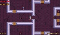 Dungeon Raider (Wizard With A Hat) screenshot, image №3223794 - RAWG