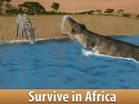 Zebra Simulator 3D - African Horse Survival screenshot, image №1625859 - RAWG