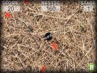 Ant Destroyer HD FREE screenshot, image №1718422 - RAWG