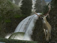 Hunting Unlimited 2 screenshot, image №365407 - RAWG