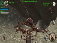 Ant Simulator 3D screenshot, image №934788 - RAWG